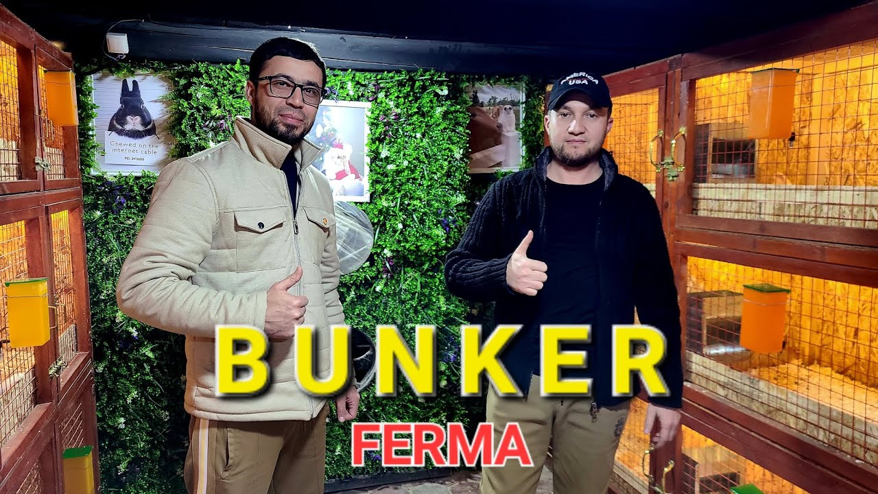 BUNKER o'zgartirildi 2-qism quyon  mini biznes fermasi
