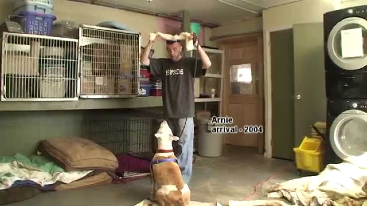 Urgent! Please Help Putnam Humane Society !