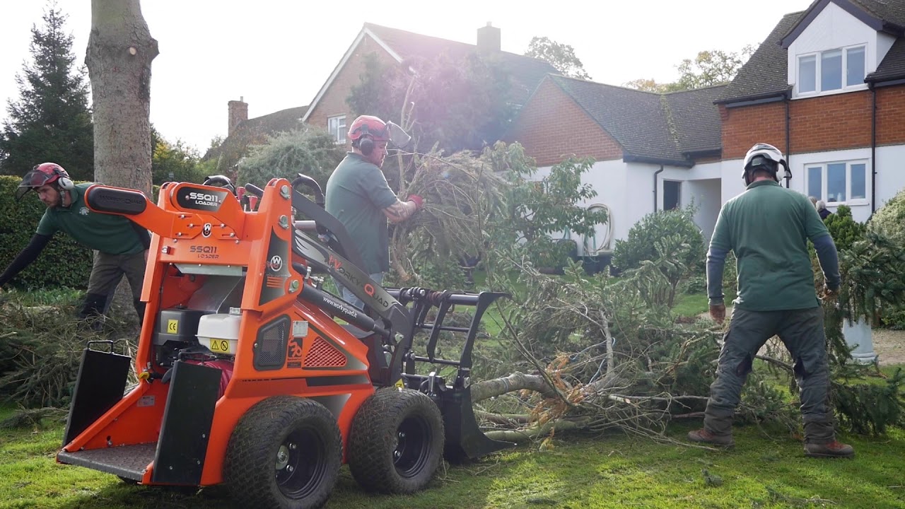 MJC Tree Care