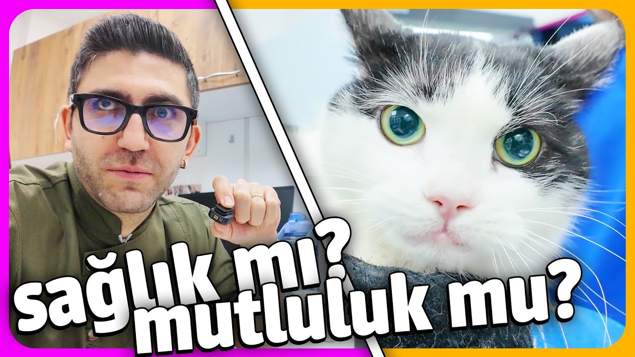 HER KEDİ SAHİBİ YAŞAYACAK 😔
