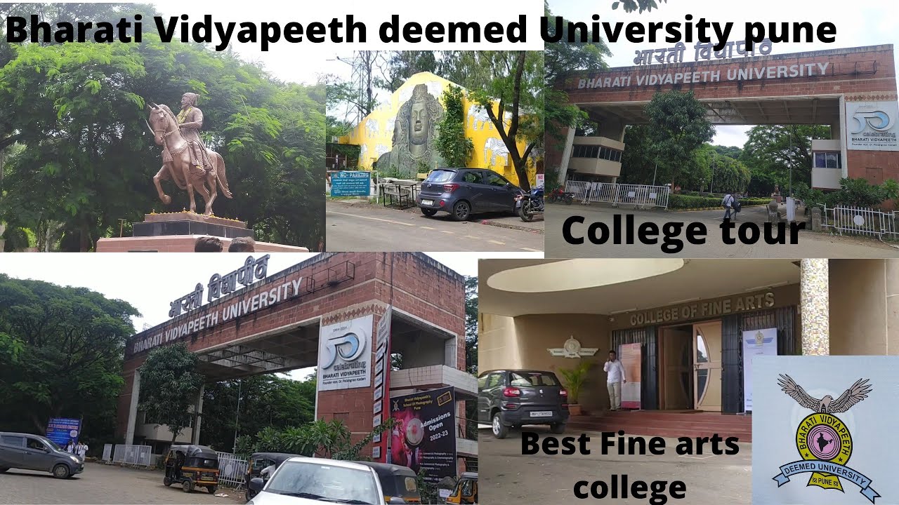 Bharati Vidyapeeth deemed University tour ❤️| college of Fine arts 😱 | college visit | sakshi gupta