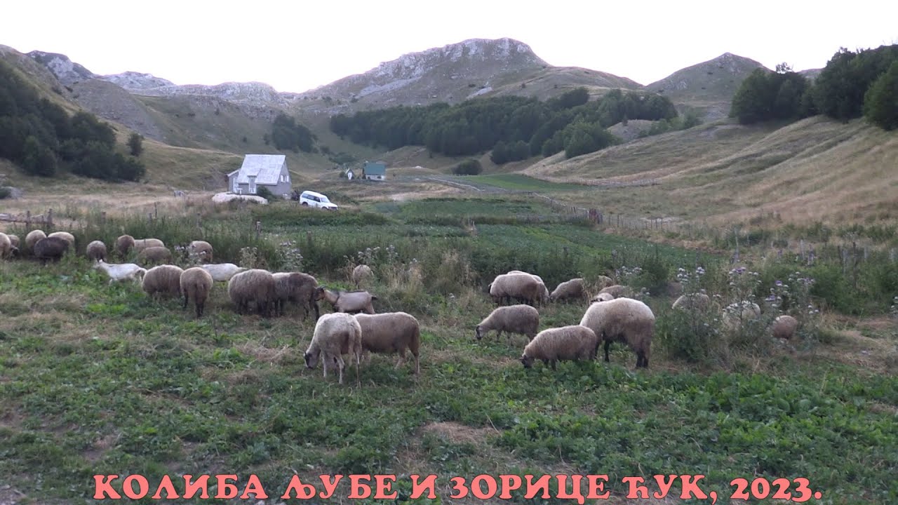 KOILIBA LJUBE I ZORICE ĆUK NA ZELENGORI, 2023.