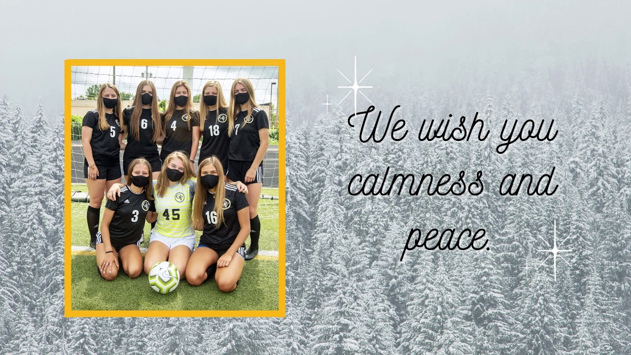 2020 Holiday Greeting for QVSD