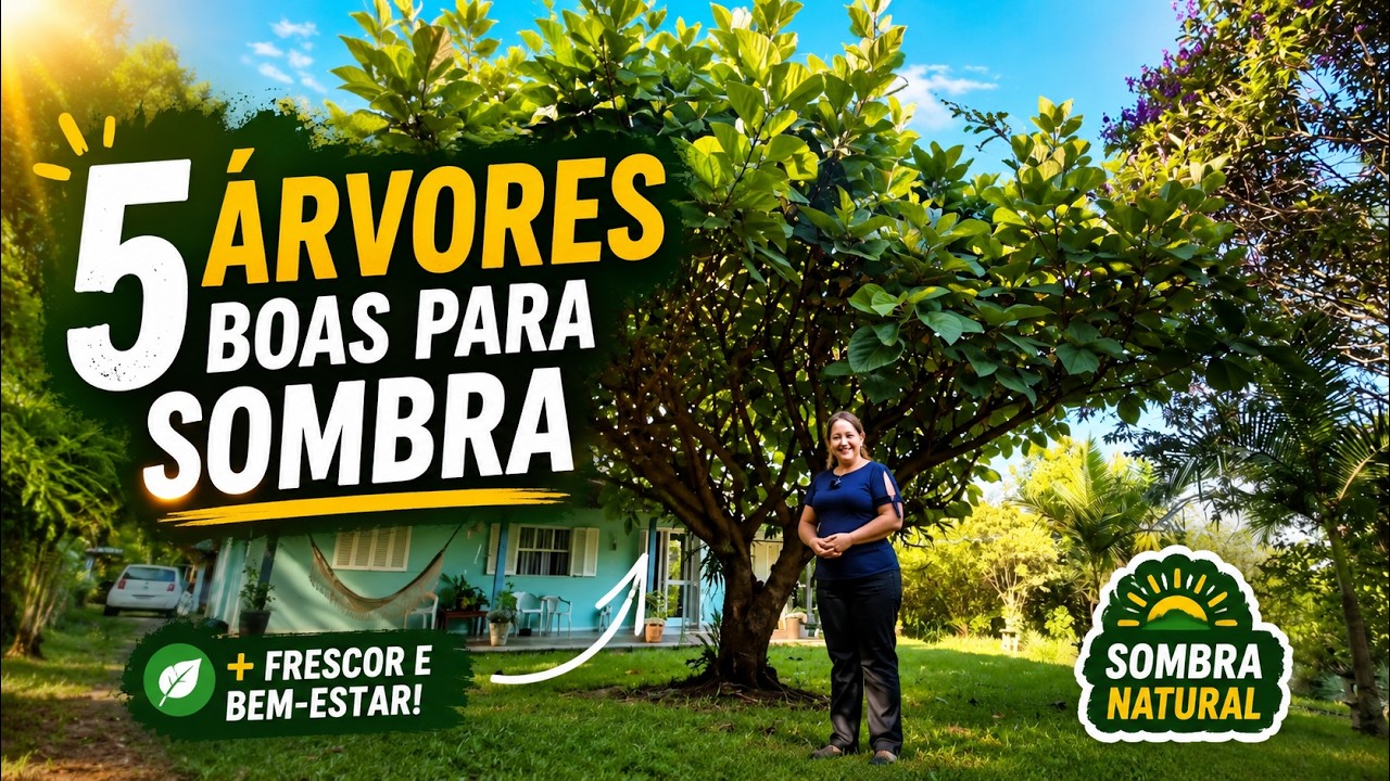 5 ÁRVORES DE SOMBRA