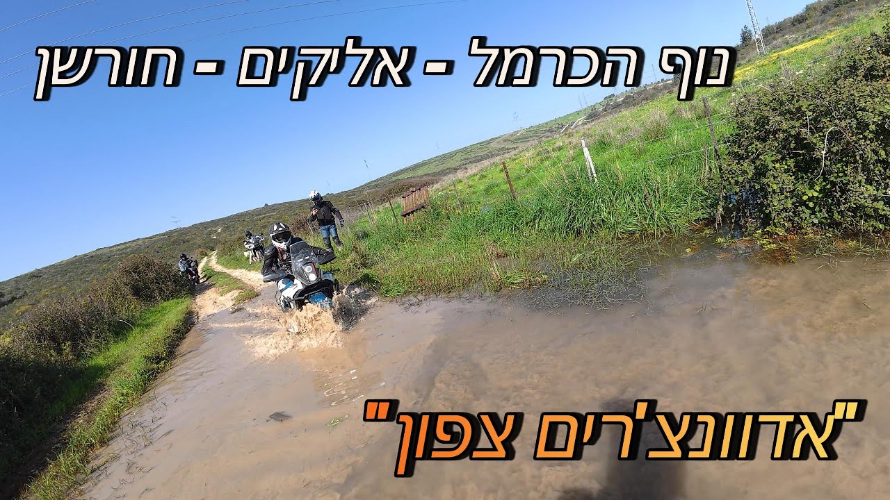 טיול אדוונצ'רים : נוף הכרמל - אליקים - חורשן 31/01/2025