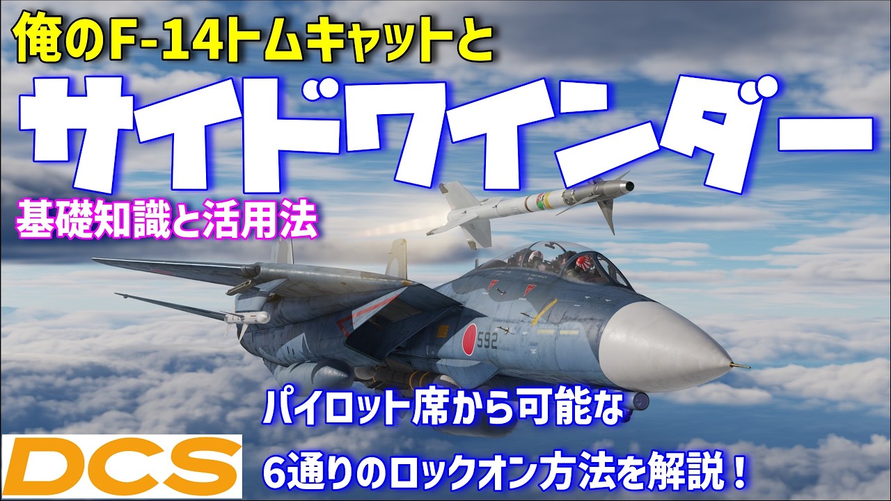 俺のF-14トムキャットとサイドワインダー | Heatblur F-14 | 戦闘訓練 | DCS World