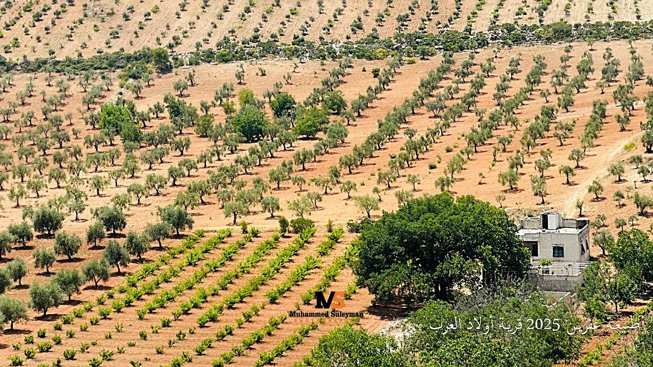 ‏طبيعة عفرين 2025 قريةعرب أوشاغي 🌻🌳