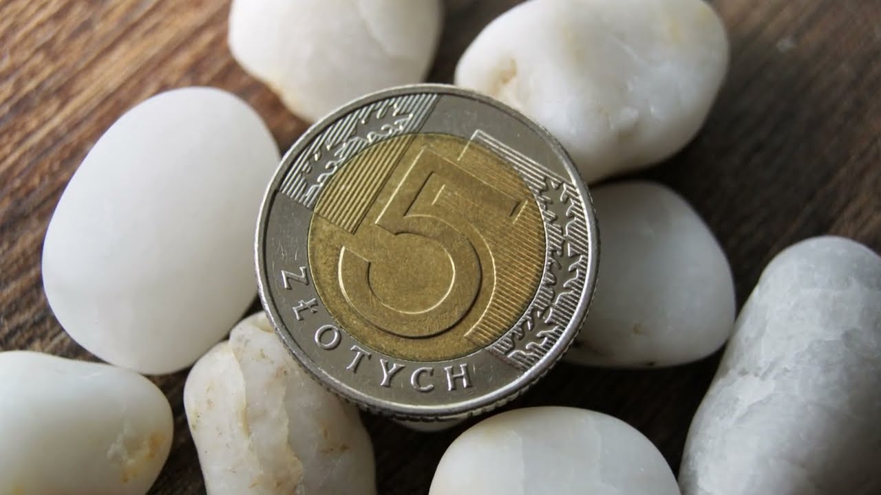 Polish coin 5 Złotych 2009