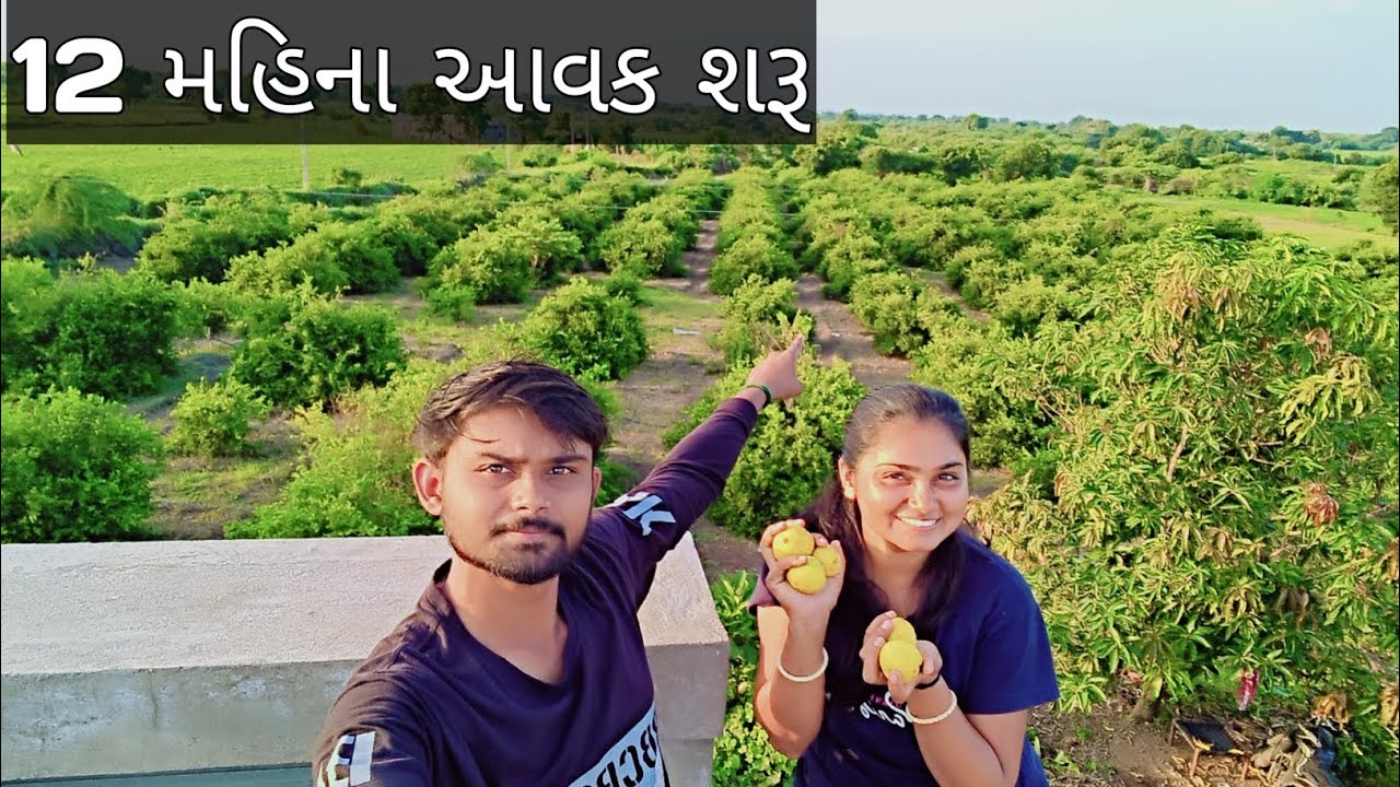12 મહિના આવક શરૂ,12 mahina aavak sharu,લીંબુ નિ ખેતી