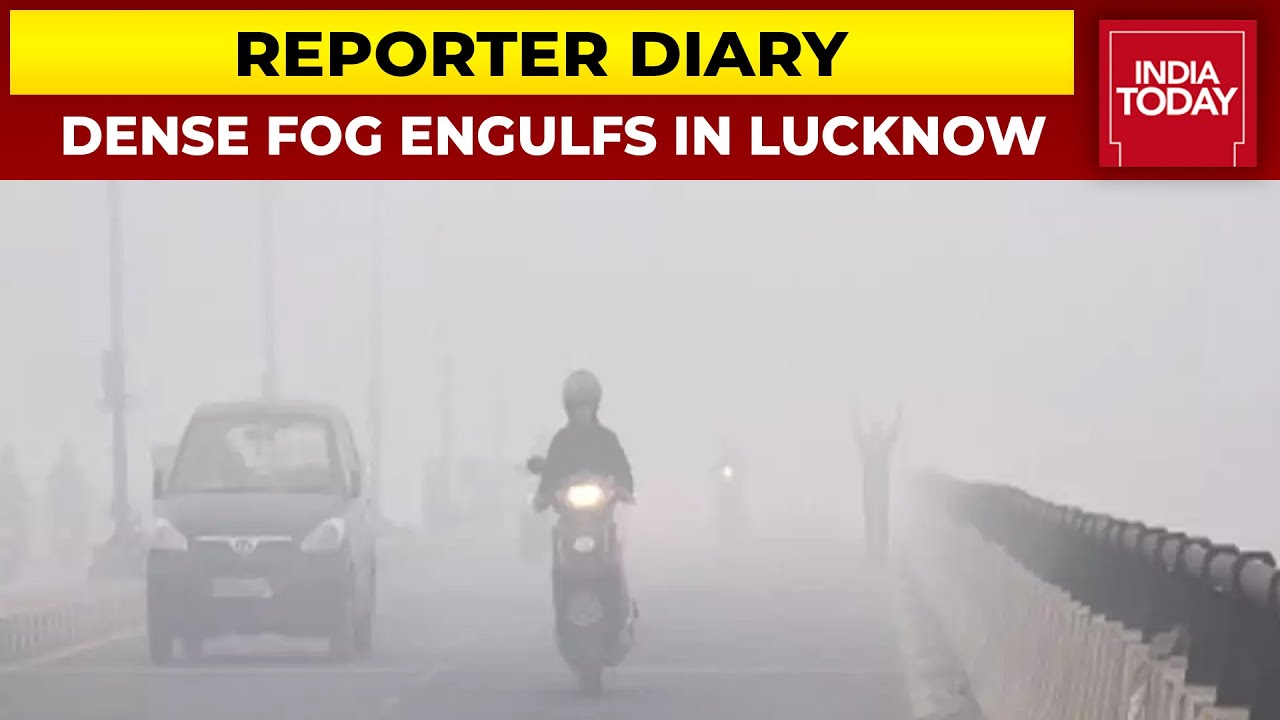 Visibility Decreases In Lucknow As Thick Blanket Of Fog Engulfs UP Capital | Reporter Diary
