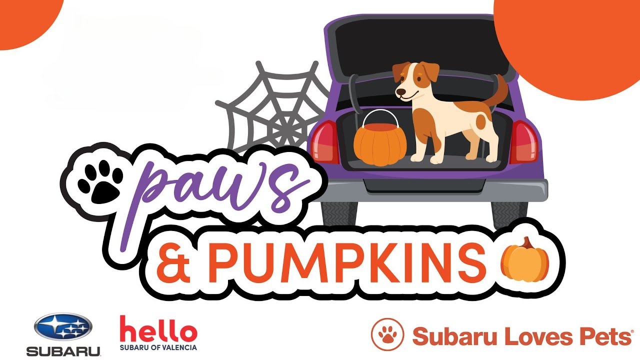 Hello Subaru of Valencia: Paws and Pumpkins
