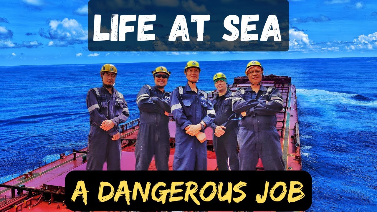 Working At Height on Ship | Dangerous Job at Sea | Life at Sea | Horizon Tales