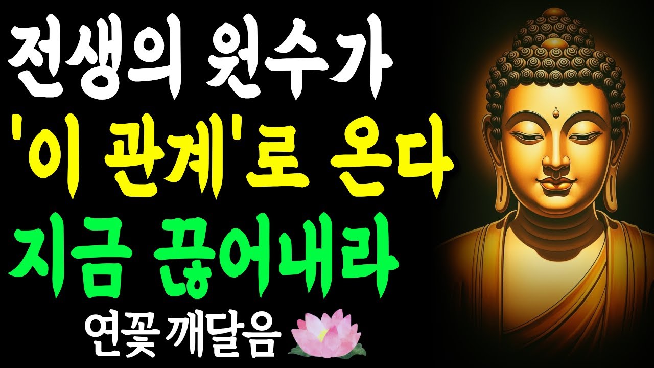 전생에 원수였던 사람, 현생에는 '이런 관계'로 만난다 | 30년 원한을 끊어내는 법 | 부처님 말씀 | 석가모니 | 불교명언 | 불교오디오북