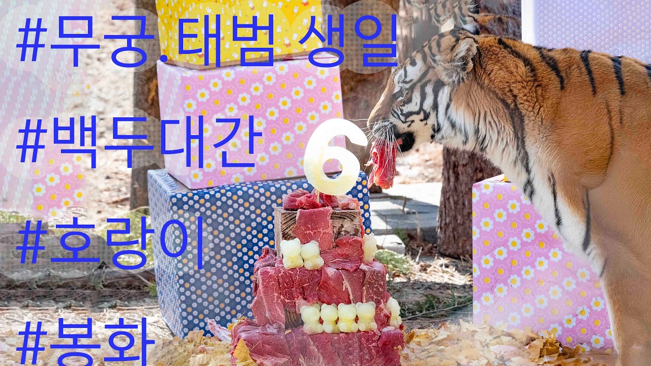 #무궁.태범6번째생일#봉화여행#백두대간수목원ㅂ