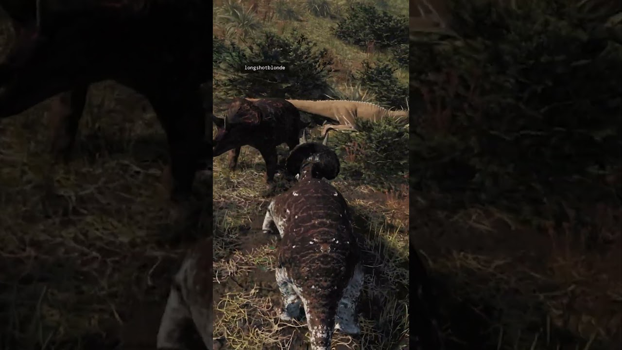 Juvie trike family vs ceras #theislegame #theisle #theisleevrima #dinosaur #dinosaurgames