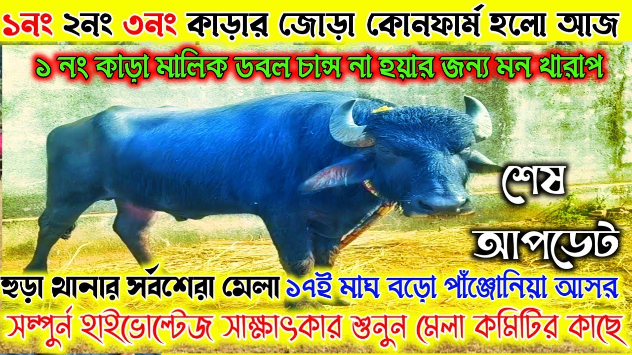 ১নং ২নং ৩নং কাড়ার জোড়া কোনফার্ম হলো আজ। শেষ আপডেট। সম্পুর্ন হাইভোল্টেজ সাক্ষাৎকার শুনুন।