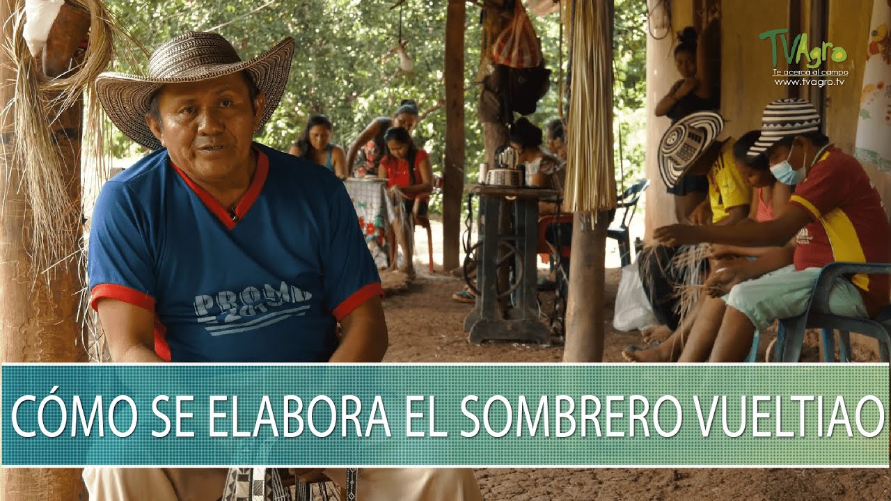 Como se elabora el Sombrero Vueltiao - TvAgro por Juan Gonzalo Angel Restrepo