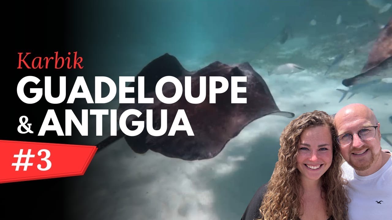 Rochen auf der Insel der 365 Strände | VLOG3 | AIDAperla | Guadeloupe und Antigua