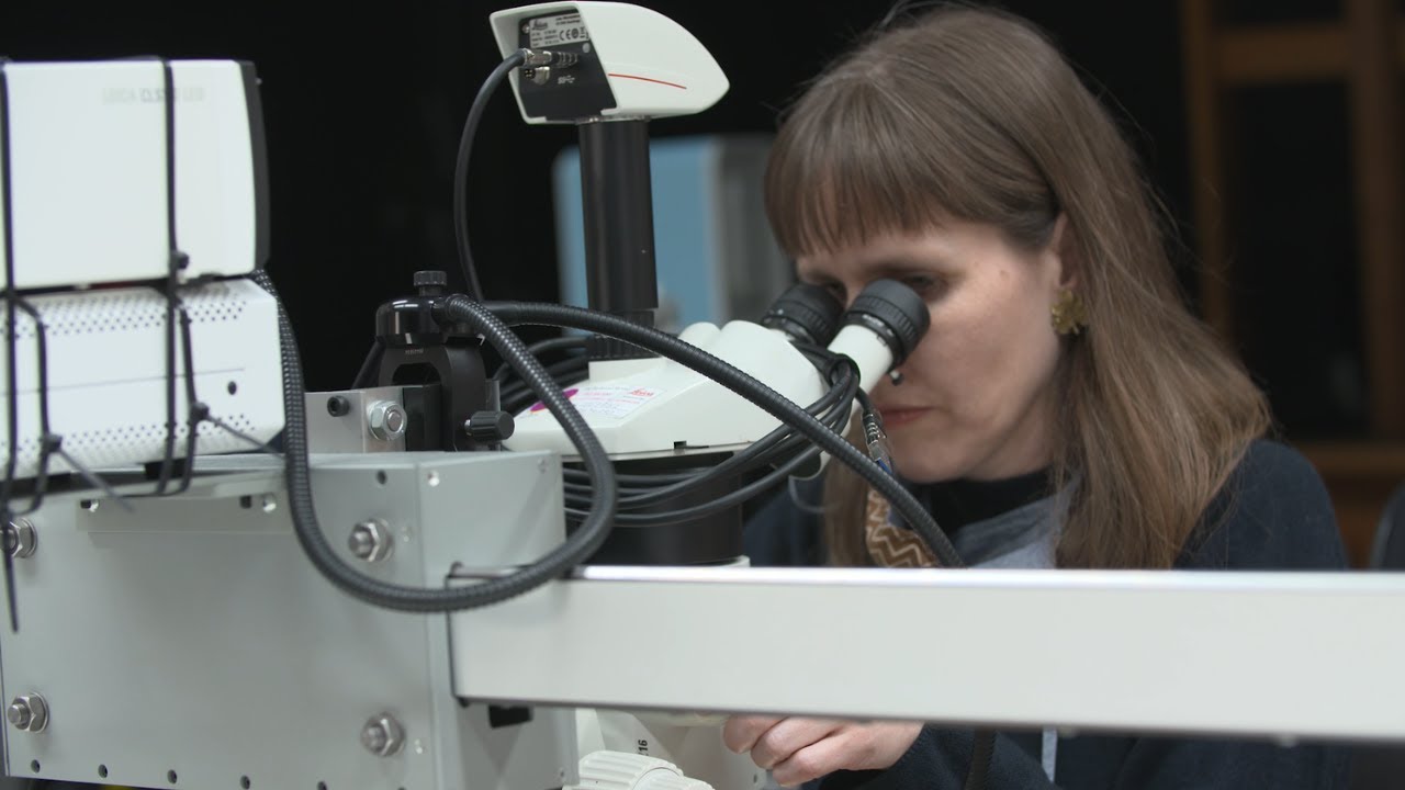 The conservation of the Kit-Cat paintings | National Portrait Gallery