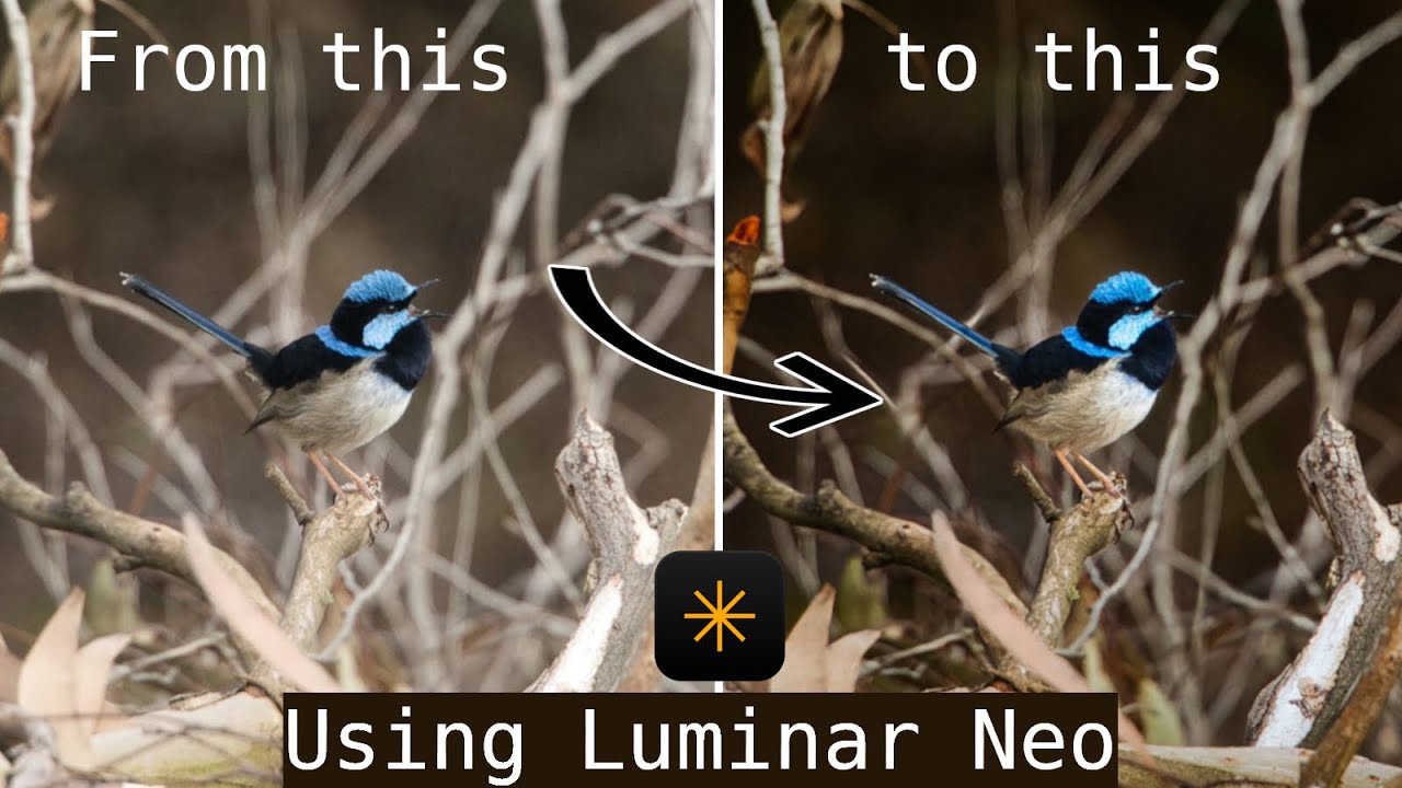 How I edited this SINGLE PHOTO in LUMINAR NEO | Single edit series