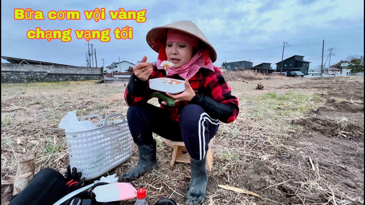 Bữa cơm vội vàng lúc chạng vạng tối trên ruộng một mình em buồn hiu