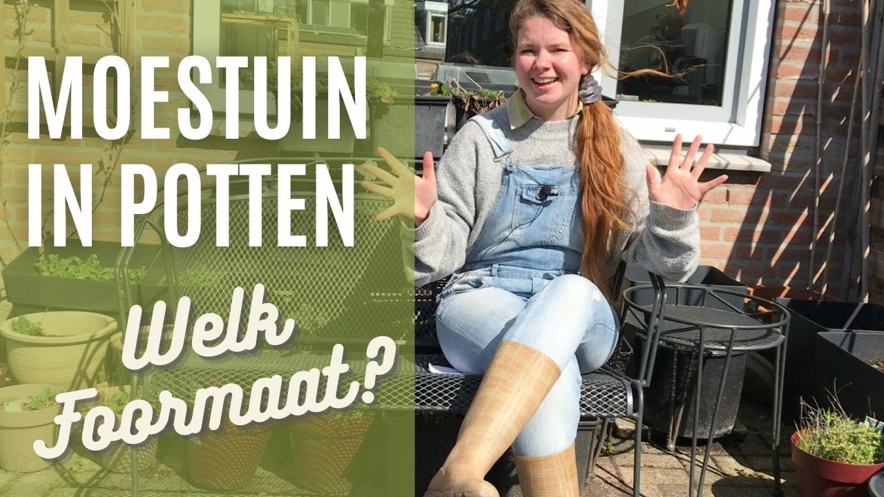 Moestuin in POTTEN | Welk formaat voor welke plant?
