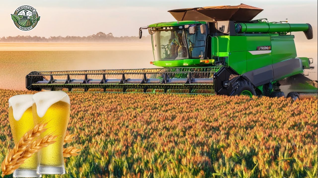 8.1 Billion Pounds Of Barley Are Harvested To Make Craft Beer This Way | Agriculture Technology
