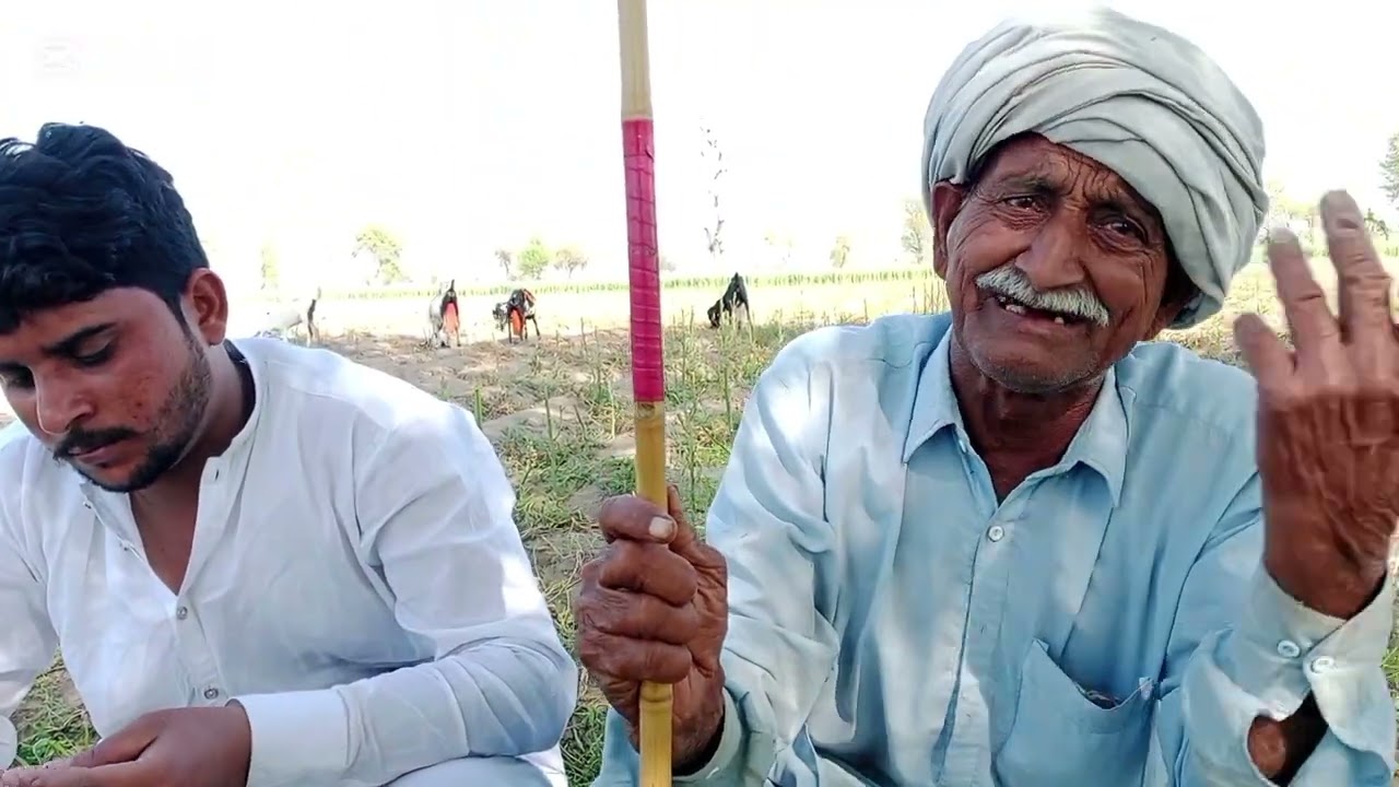  جہیز میں بکریاں کیسے ملتی ہیں