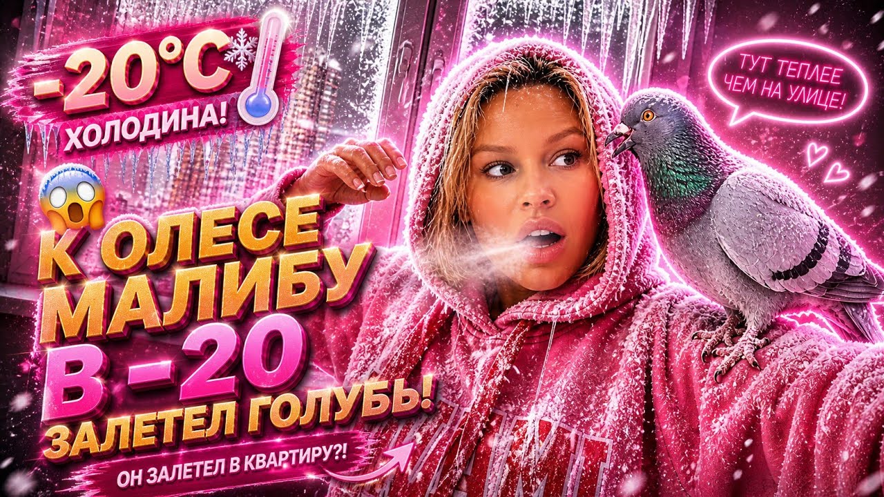 В -20❄️сплю с ОТКРЫТЫМИ ОКНАМИ,влетел ГОЛУБЬ🐦что это за примета?ЗАМЕРЗЛА ВОДА НА СТОЛЕ!#олесямалибу 