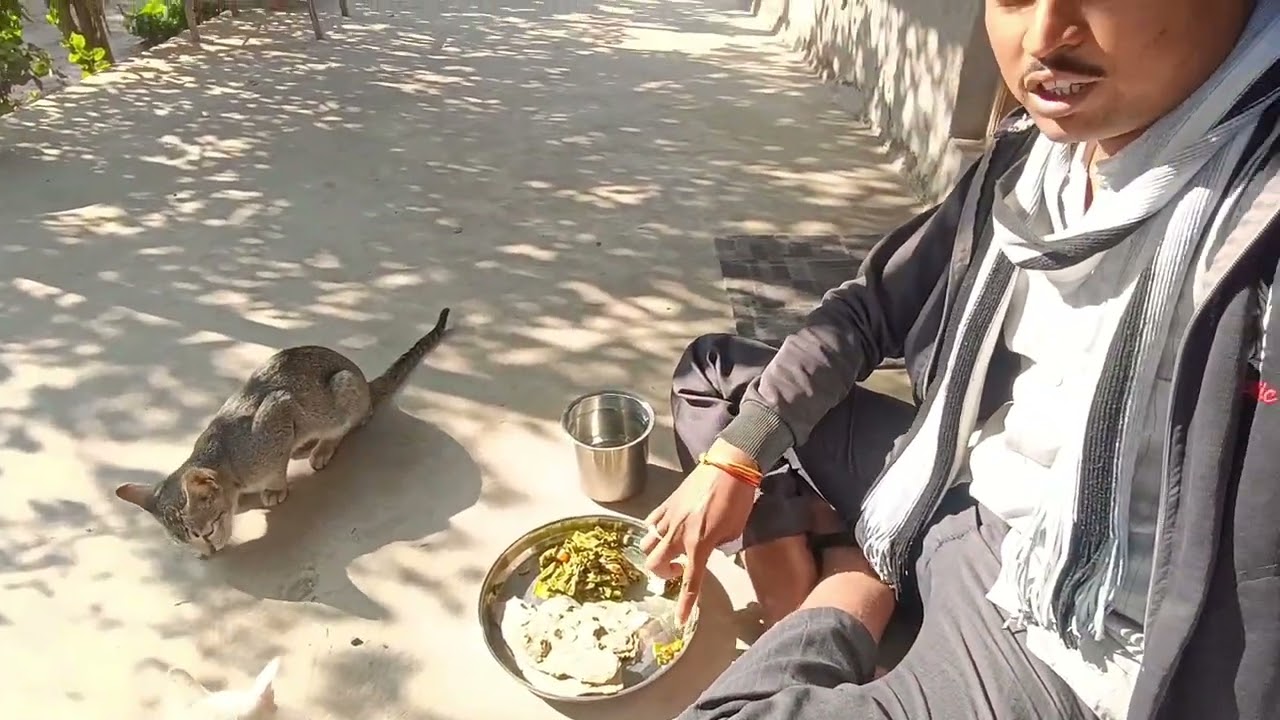 Aaj to 2700 rupay kamay 3 trip 😍😎 || Ghar lotate rat hogai || #daily vlog #villege cab #village🚕