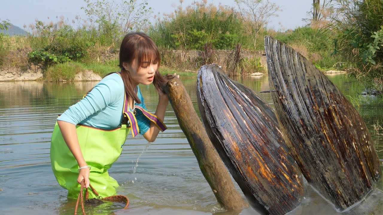 👑🐚 Girl Stumbles Upon a Giant Clam, Inside Which Lies a Treasure Trove of Radiant Gems