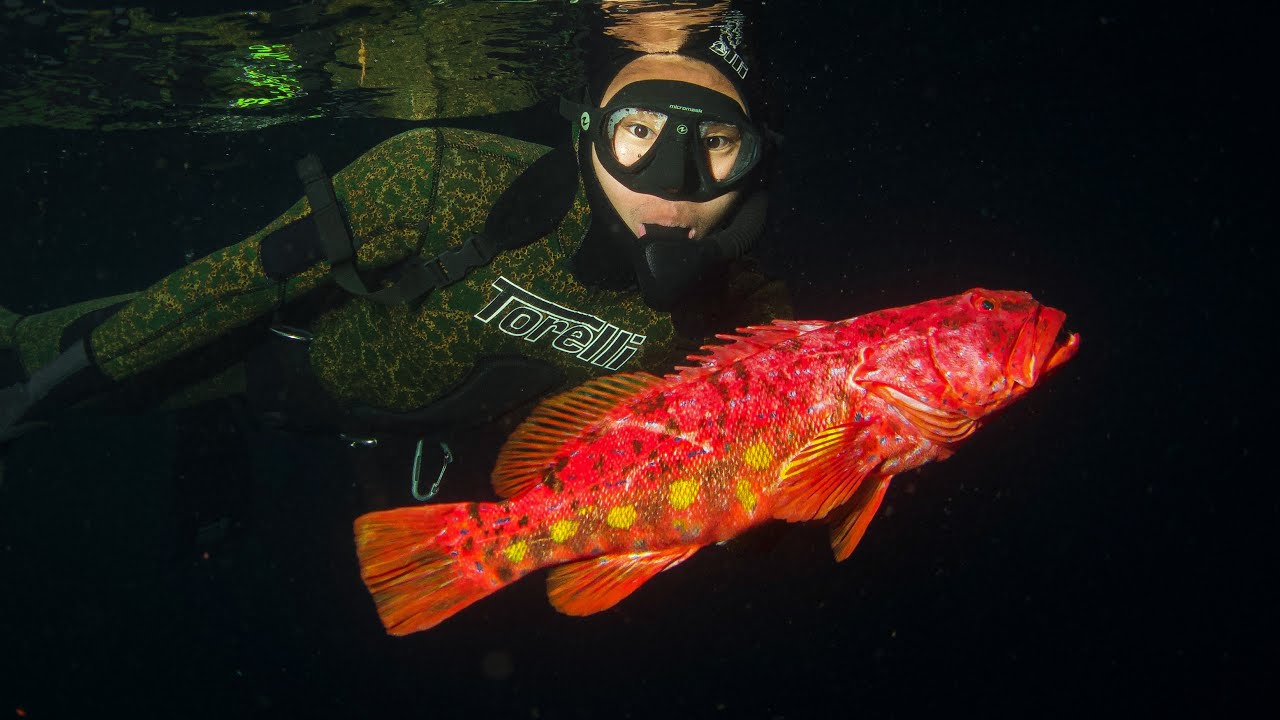 South Australian Spearfishing Titles: A Test of Skill and Endurance!