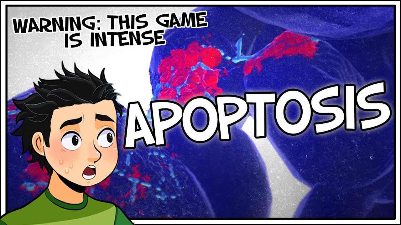 FEELS INCOMING! | Apoptosis by Lucien Catonnet