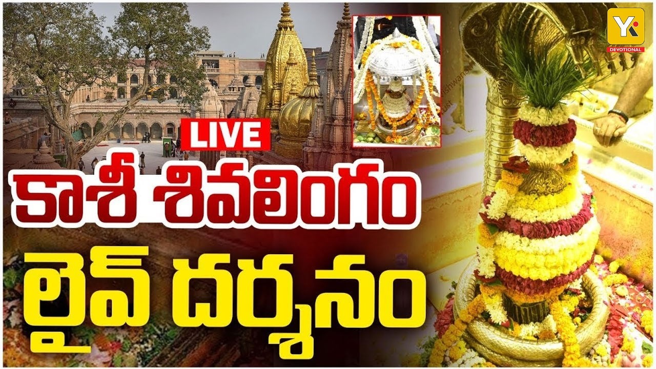 Kashi Vishwanath LIVE | మంగళవారం కాశీ మహా శివయ్య దర్శనం | Kashi Vishwanath Darshan | YK TV