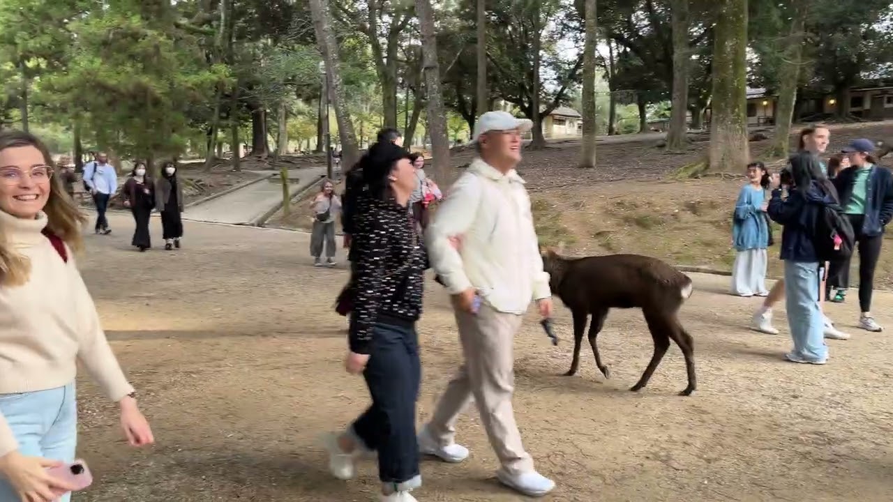 Nara - autumn trip to Japan 2025