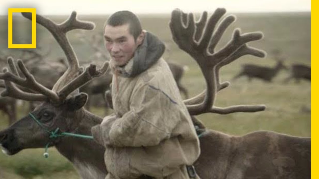 Reindeer Herders of the Russian Arctic | National Geographic