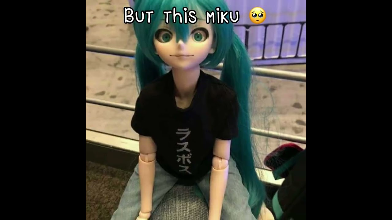 Real Miku&hellip;But the doll Miku