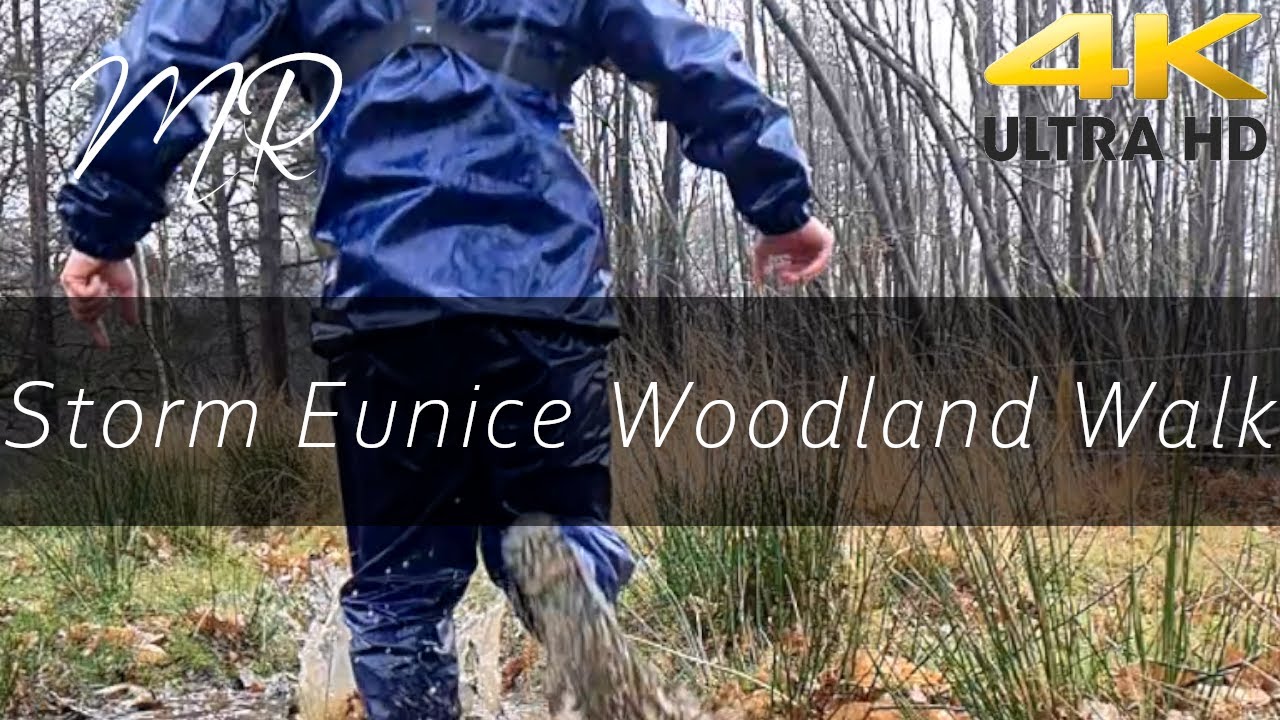 A Walk in Tilgate Forest with Storm Eunice destruction!