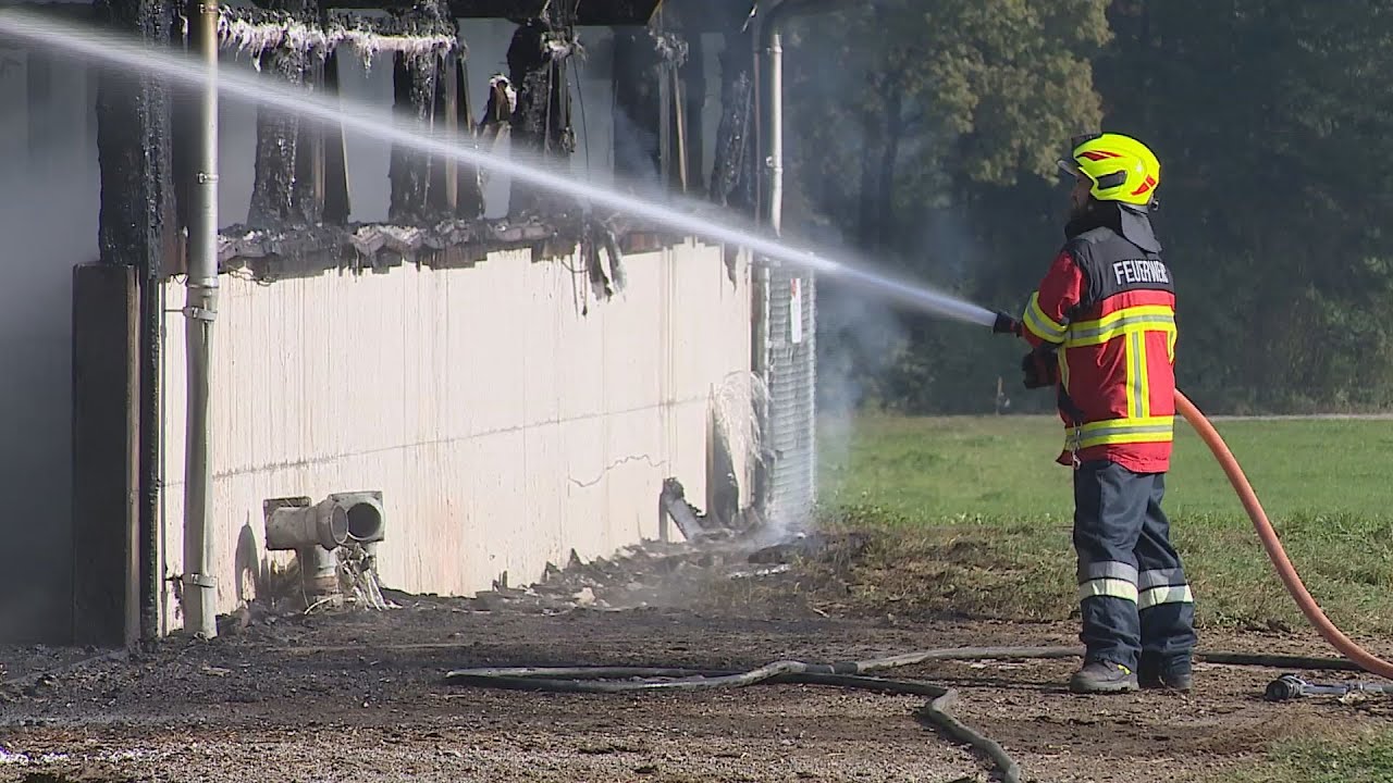 Rain LU: Hunderte Schweine sterben in Flammen