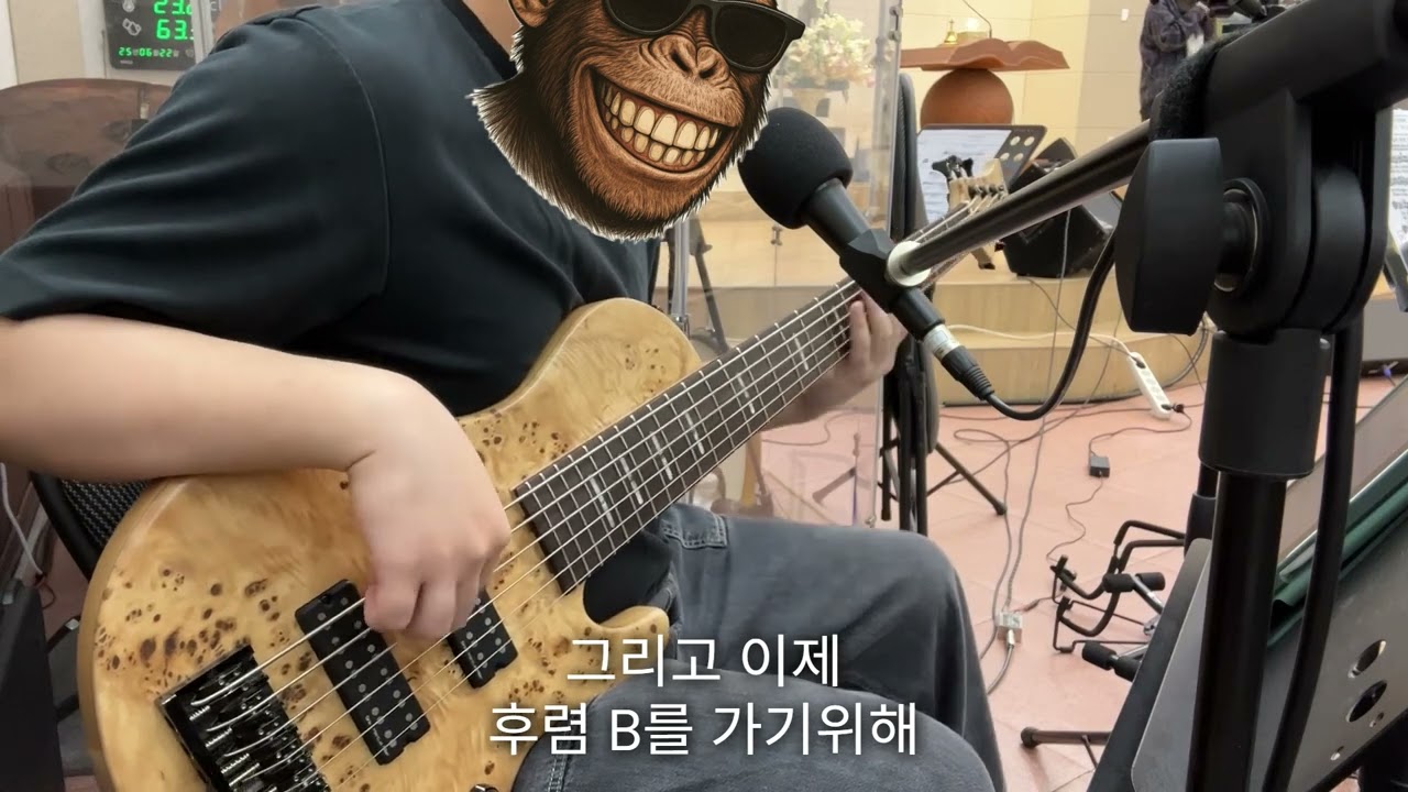 베이스 연주자의 시선 풀버전 with SireF10 #bass  #sirebass   #SireF10