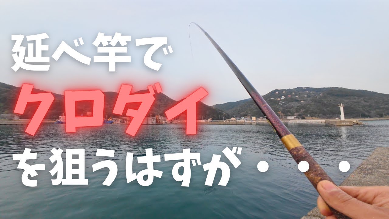 延べ竿でチヌ狙ってたら違う良型釣れる