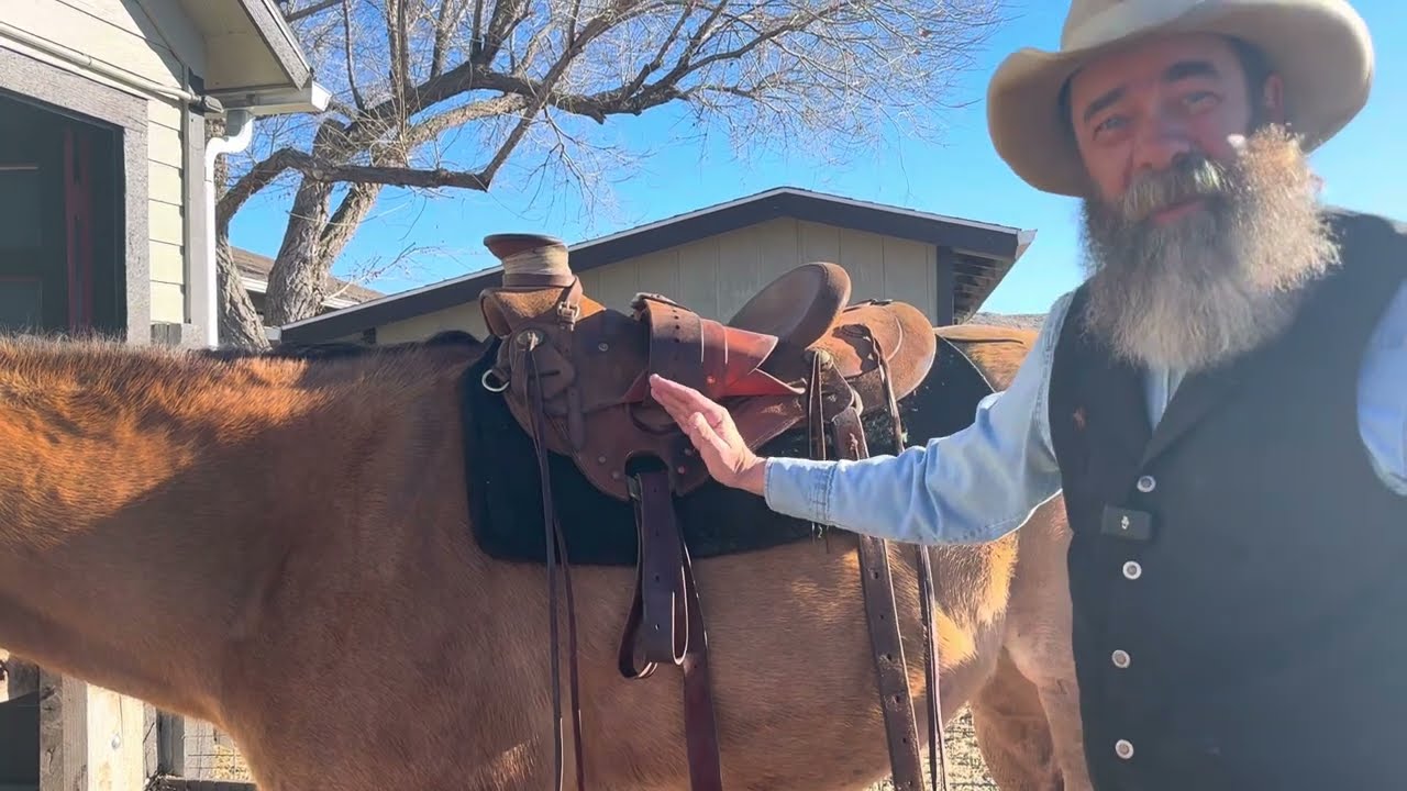 Horse Saddling Part 1 - Where Does That Dang Saddle Really Go??