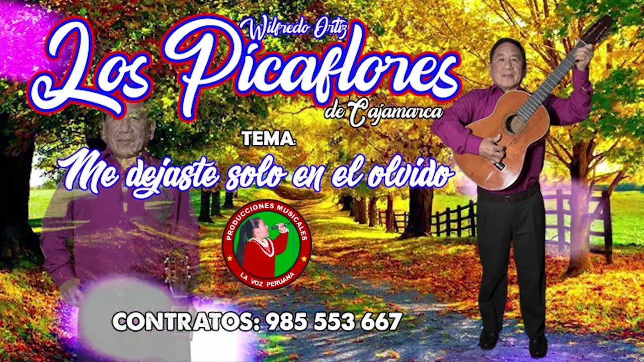 ME DEJASTE SOLO EN EL OLVIDO - LOS PICAFLORES DE CAJAMARCA - AUDIO OFICIAL 2026