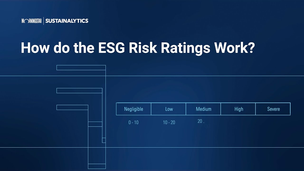 How Do the ESG Risk Ratings Work?