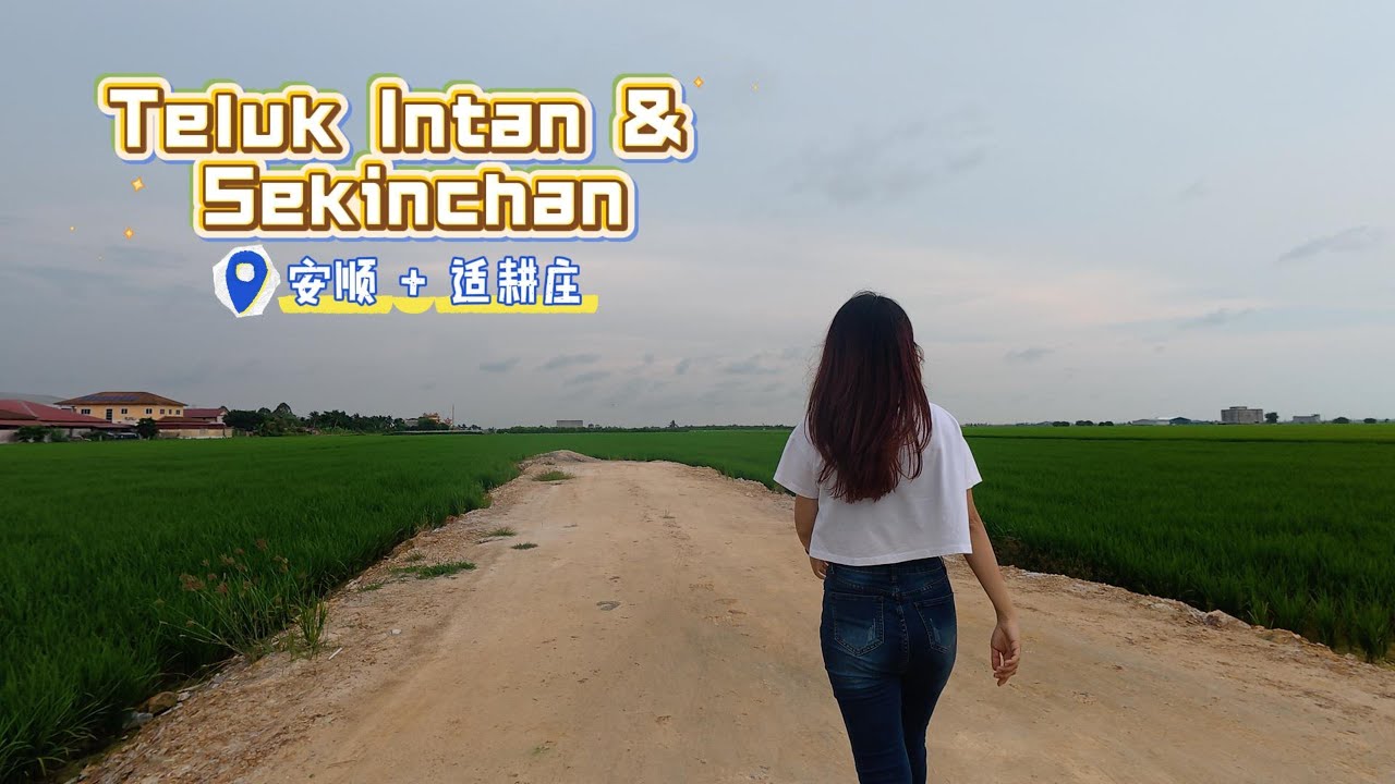 Teluk Intan & Sekinchan 安顺+适耕庄一日游：找美食，去打卡咯！