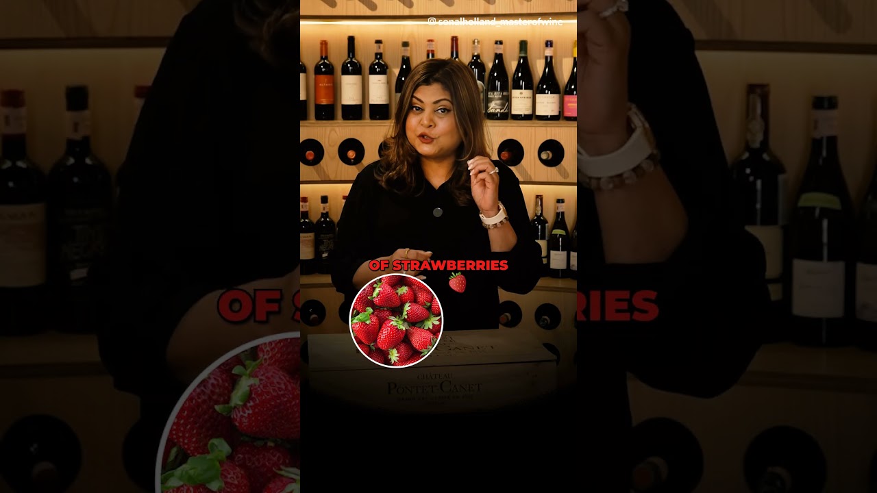 5 Must Try French Wines | Sonal C Holland MW