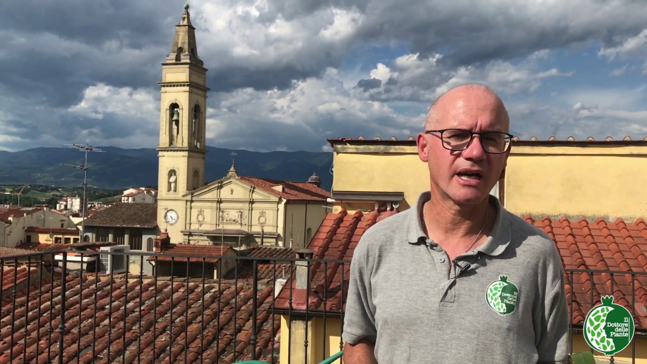 Tronchetto della felicità: La Moltiplicazione