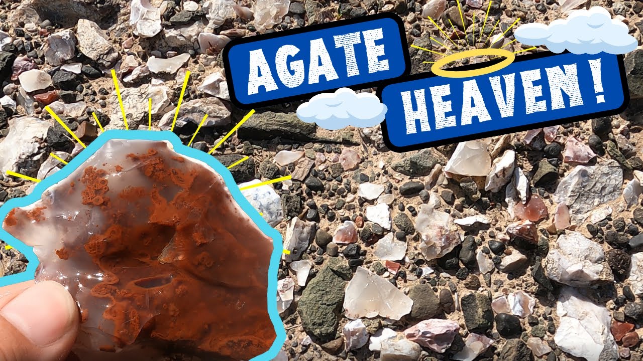 Rockhounding for Crazy Pigeon Blood Agates in Utah!