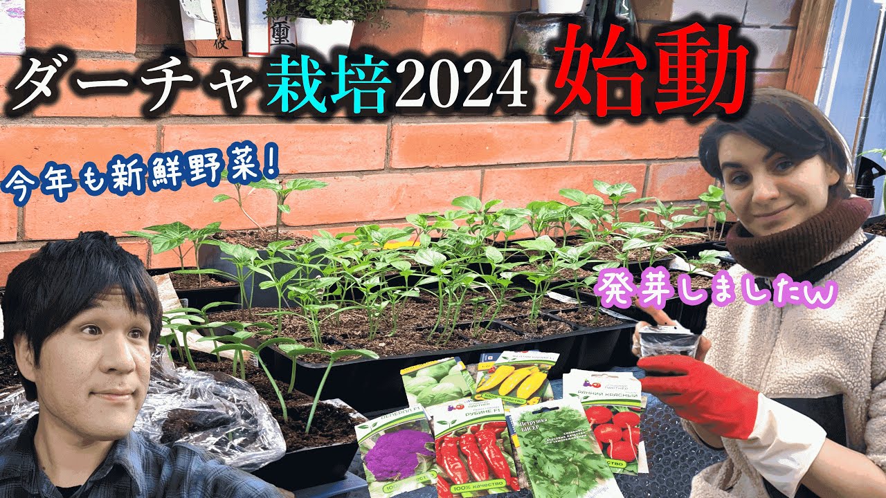 モスクワ郊外で自家栽培を始めて3年目！今年は二人で全てやります。カーチャのワイルドな散髪＆行きつけスーパーでウズベキスタン出身の店員さんも登場ｗ