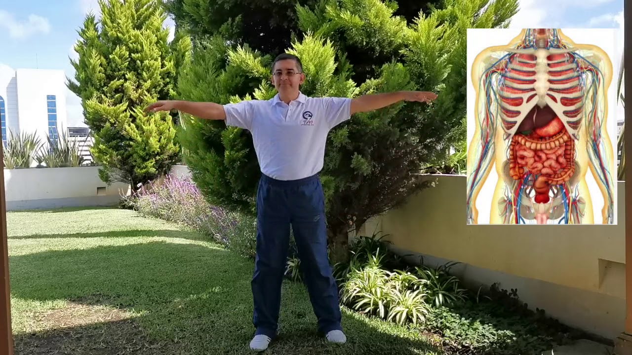 balancear los brazos para una salud extraordinaria